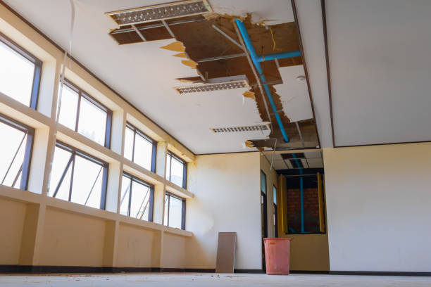 Best Water damage contractors near me  in Placerville, CA