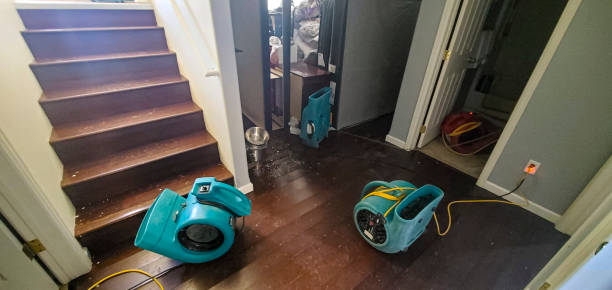 Best Mold removal after water damage  in Placerville, CA