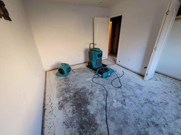 Best Fire Damage Restoration  in Placerville, CA