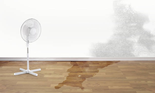 Professional Water damage restoration in Placerville, CA