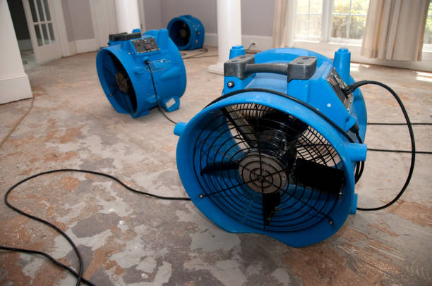 Best 24/7 water damage repair  in Placerville, CA