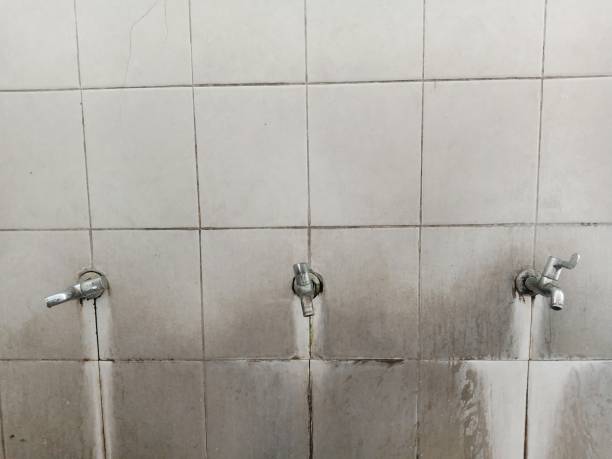 Best Sewage cleanup and water damage restoration  in Placerville, CA