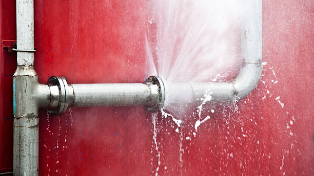 Carpet water damage restoration in Placerville, CA