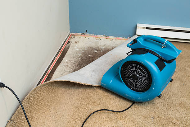 Best Water damage restoration near me  in Placerville, CA