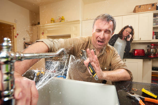 Best Flood restoration services  in Placerville, CA